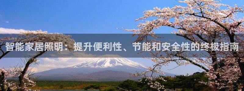 云顶集团简介资料