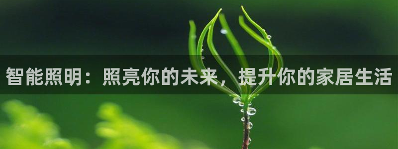 云顶集团中国区