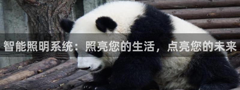 云顶集团公司 英文