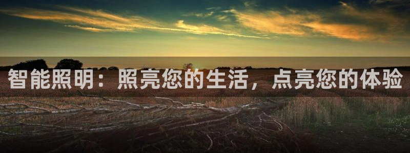 云顶国际投资有限公司招聘