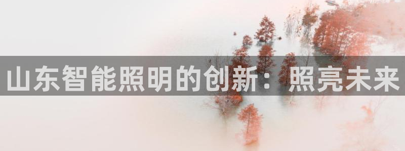 云顶国际服叫什么