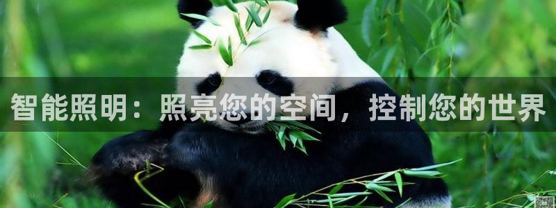 云顶国际app官方网站