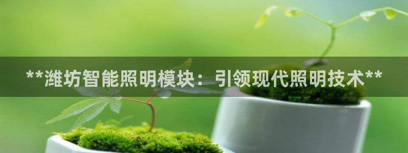云顶国际商业广场可以充电动车吗