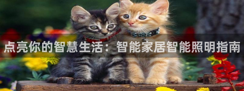 云顶集团老总简介