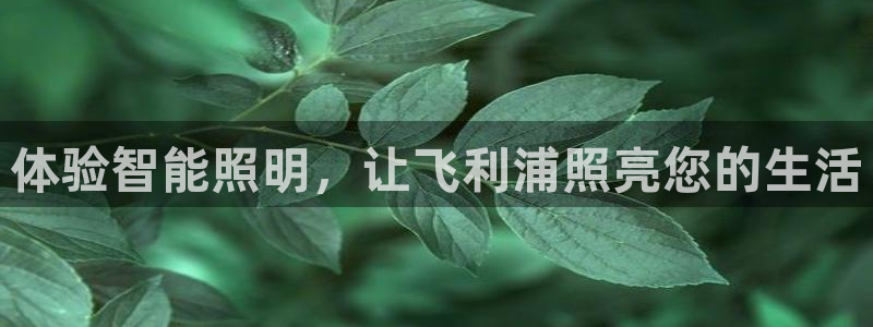 云顶集团有限公司,林东简历