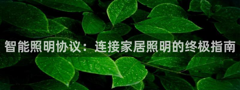 云顶集团进入官网