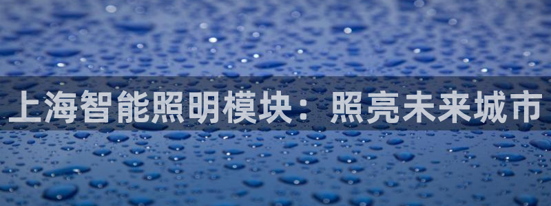 云顶集团林致华