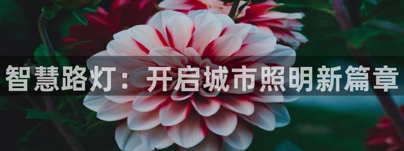 云顶国际培训中心怎么样