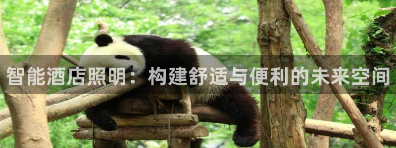 云顶集团app免费下载苹果