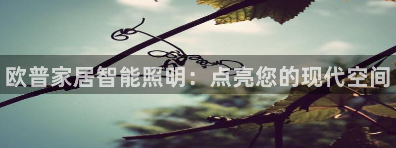 云顶国际公馆