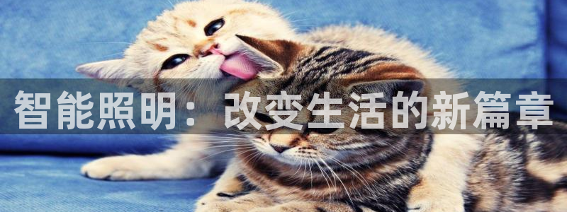 4008浏览器云顶下载