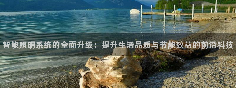 云顶电子游戏平台