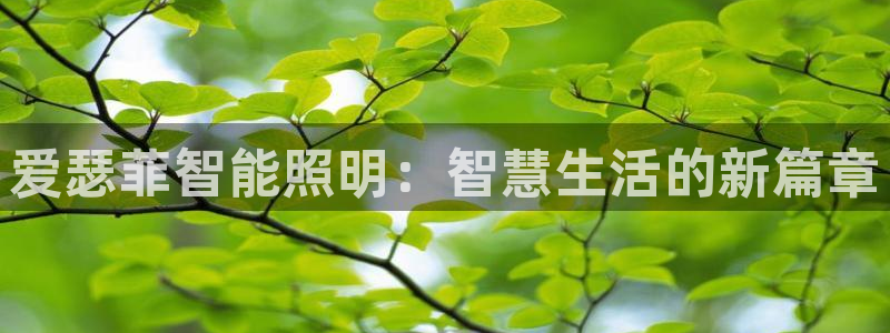 云顶集团公司简介图片