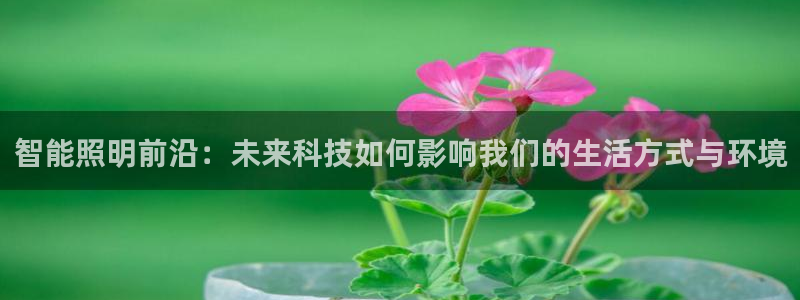 云顶国际平台违法吗?