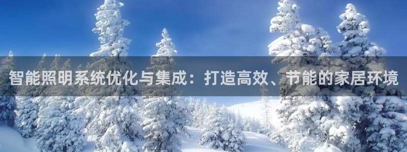 云顶国际公馆户型图