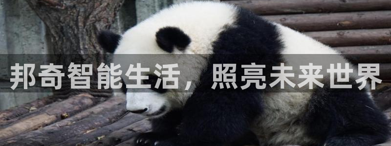 云顶国际房地产有限公司