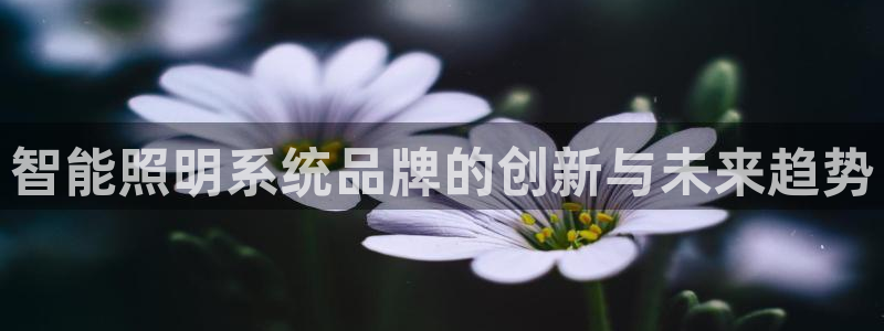 云顶国际club