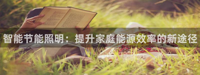 云顶国际服跨区数据