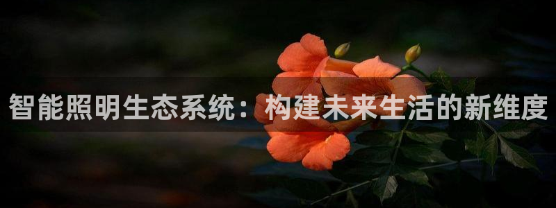 云顶手游国际版