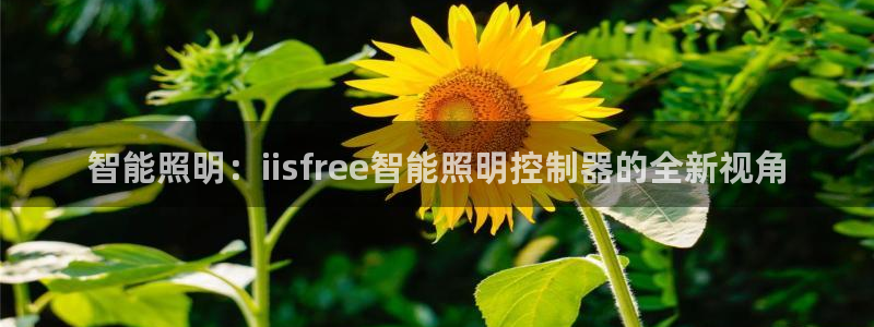 云顶国际酒店几星级最高