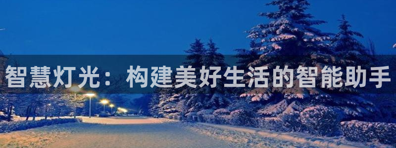 云顶国际服没有改名卡