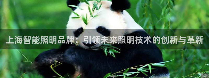 云顶国际服维护时间