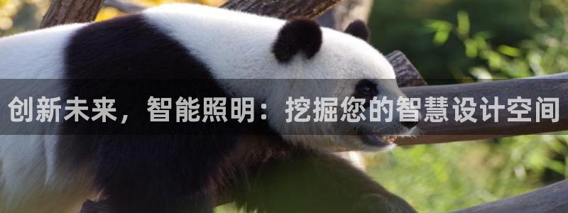 云顶国际滑雪场开放时间