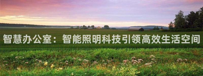 云顶国际晟荣协会会长是谁