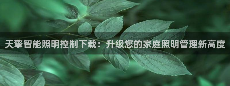 云顶国际部一年学费