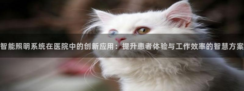 云顶集团老板是谁：智能照明系统在医院中的