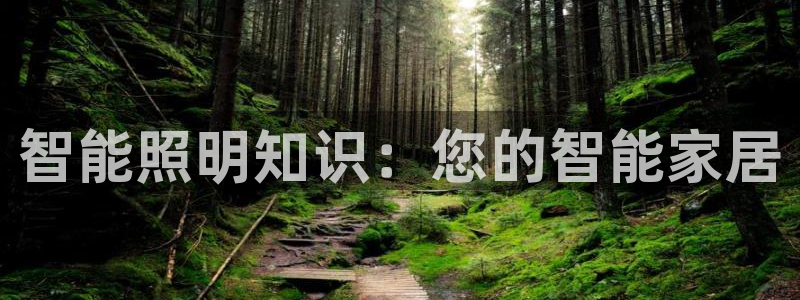 云顶国际旅行社怎么样