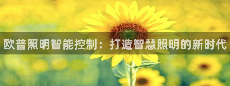 云顶集团在哪上市