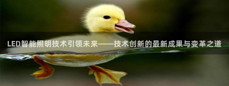云顶游戏网站