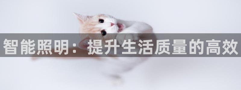 云顶国际app官方网站