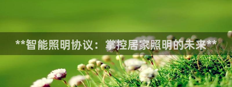 yd2333云顶电子游戏：**智能照明协