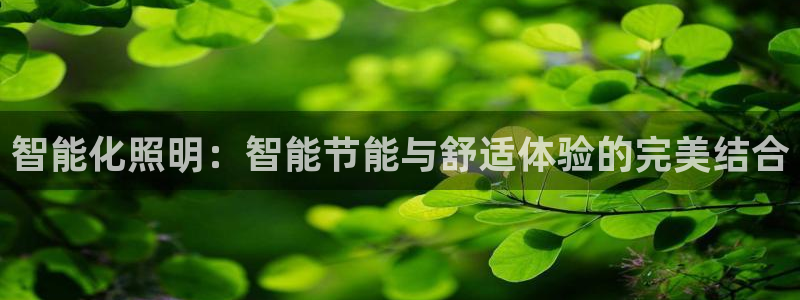 云顶国际大酒店电话：智能化照明：智能节能