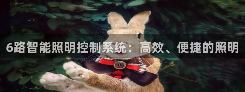 官方云顶国际网站下载：6路智能照明控制系