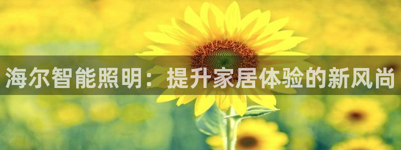 云顶国际酒店位置