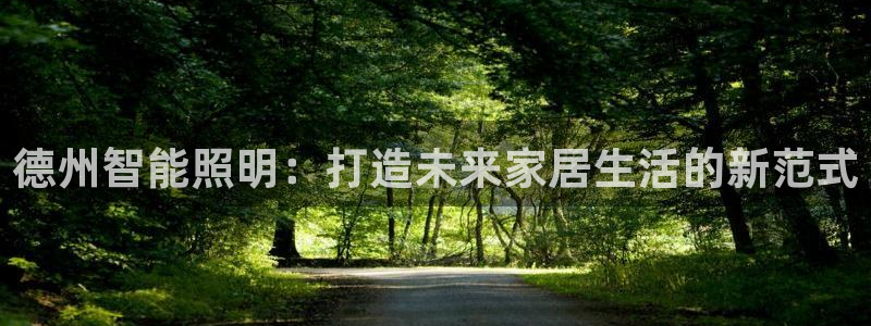 云顶国际日本：德州智能照明：打造未来家居
