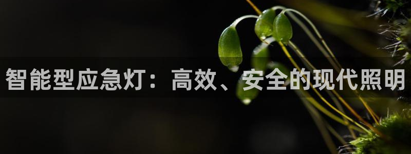 太原云顶国际大酒店订餐