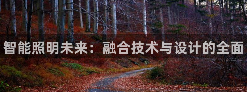 云顶国际装饰设计