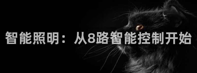 云顶集团在中国有投资吗?