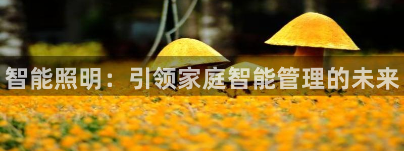 云顶国际二手房出售信息：智能照明：引领家